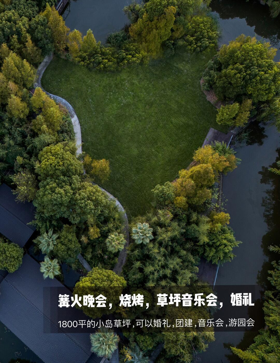 草坪
